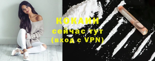 кокс Алзамай