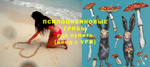 мяу мяу мука Алексин